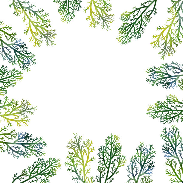 花卉组成植物和叶子图片下载