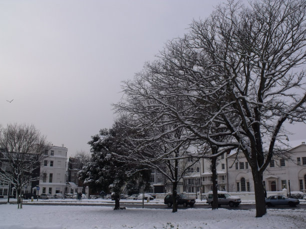 白雪皑皑的街景图片下载
