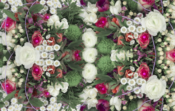 装饰背景的夏季鲜花，色调图片下载