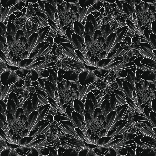 美丽的单色，黑白无缝图案与荷花。图片下载