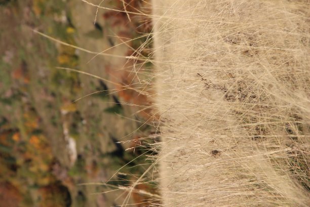 在夏季观看山峰图片下载