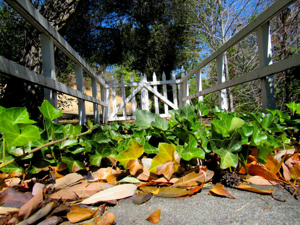 秘密花园门图片下载