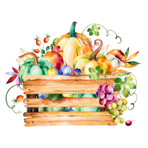 秋收篮子里有秋叶、树枝、浆果、黑莓、蘑菇图片下载