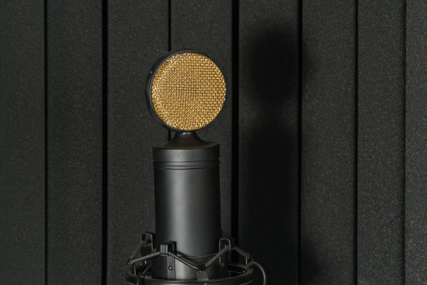 麦克风架上的录音室麦克风图片下载