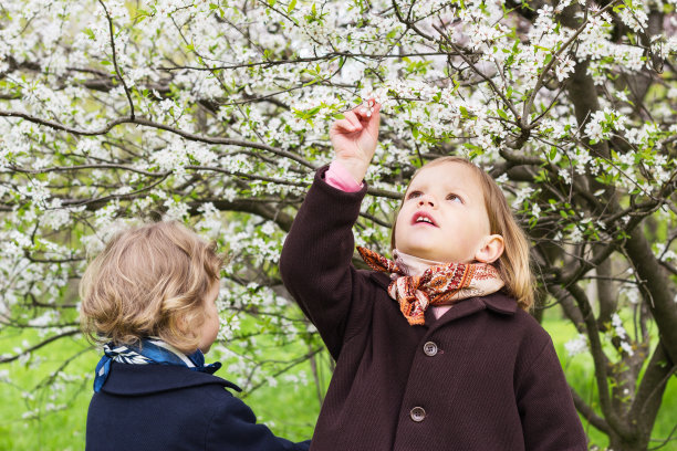 春天的时间。可爱的小女孩图片下载