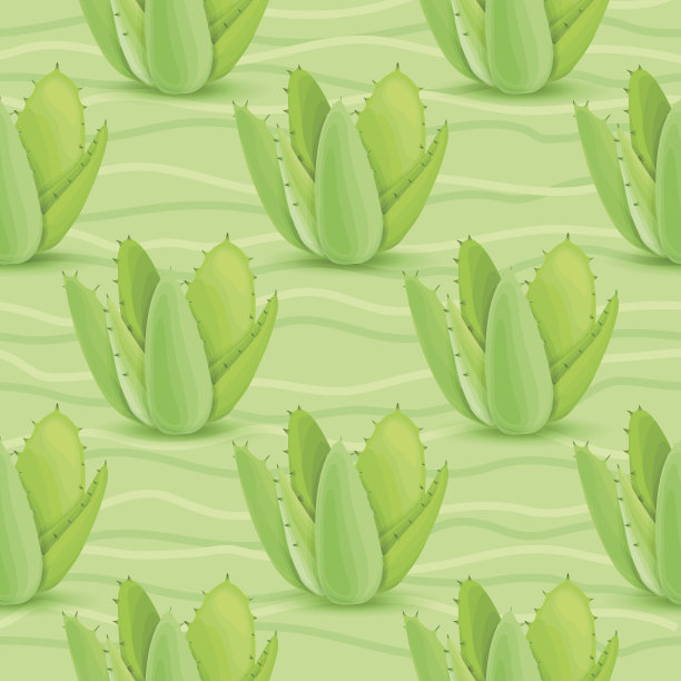 肉质植物无缝模式图片下载