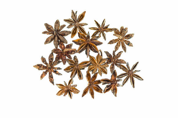 白色背景上的茴香果实。图片下载