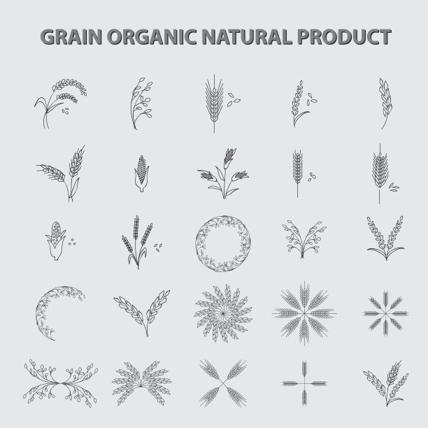 集谷物有机天然产品。概念向量插图图片下载