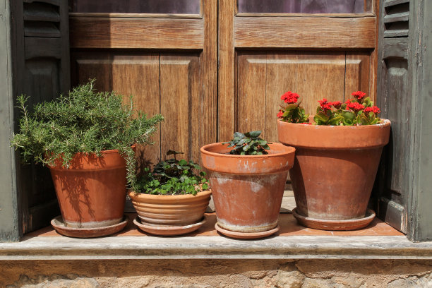 门饰花图片下载