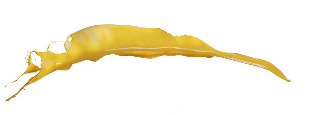 黄色油漆的飞溅孤立在白色背景上图片下载