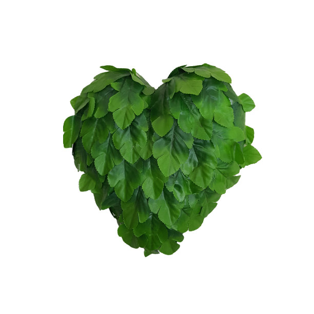 白色背景上的叶心图片下载