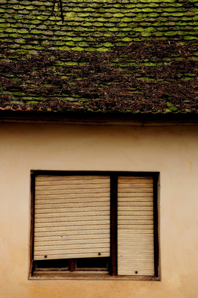 旧的窗口图片下载