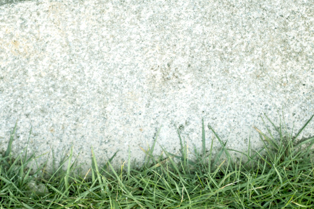 绿草地边缘图片下载