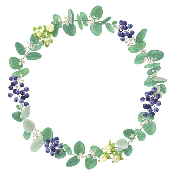 桉树枝花环图片下载