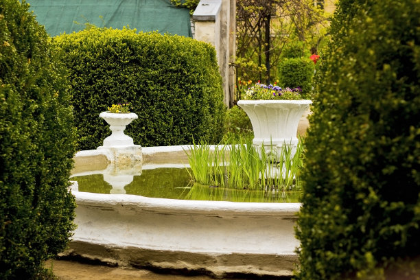 喷泉和花盆在花园的树篱中图片下载