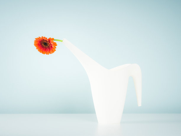 花在能图片下载