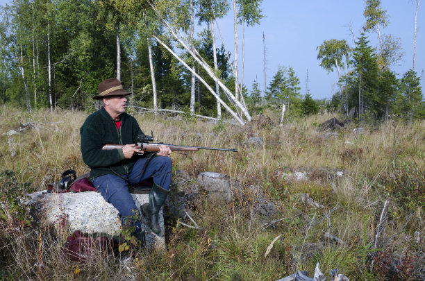 等待驼鹿图片下载
