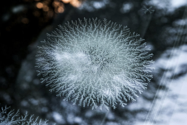 冰晶体图片下载