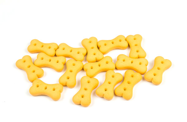 狗在孤立的背景饼干图片下载