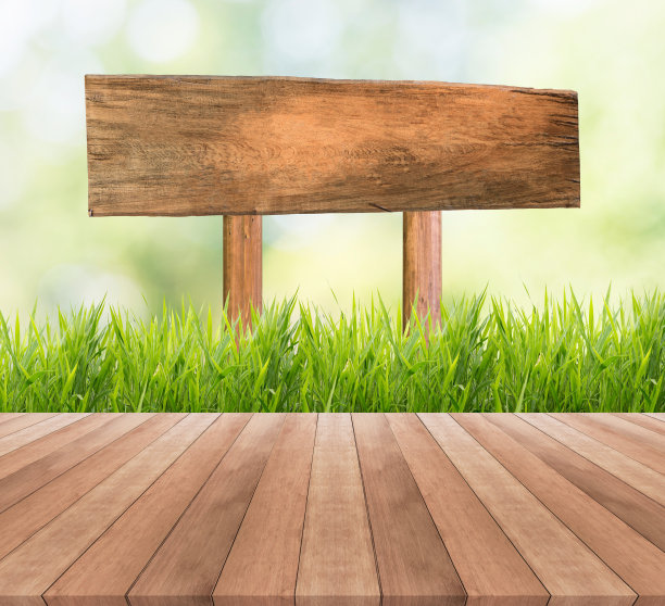 春天或夏天有草地和木制招牌图片下载