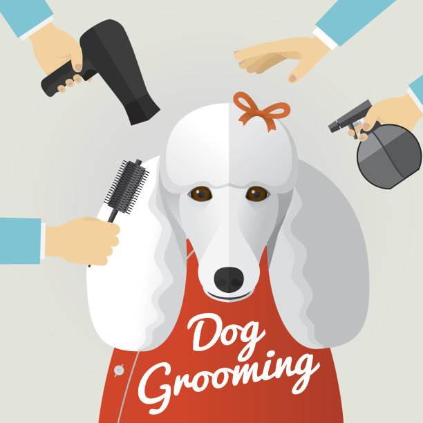 宠物美容图片下载