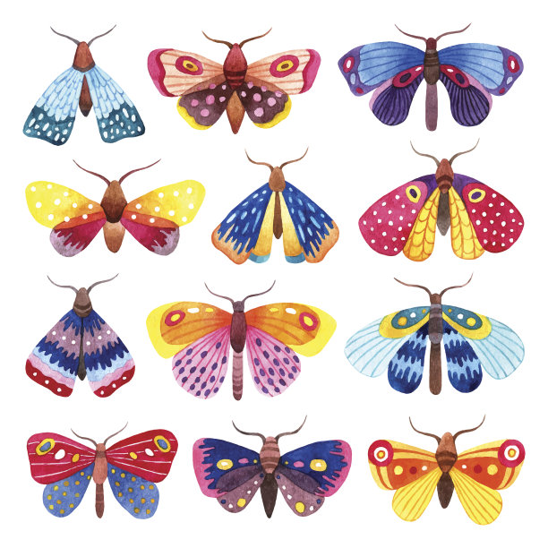 水彩画一套彩色蝴蝶素材图片