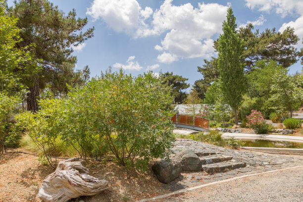 Troodos植物园附近的池塘图片下载