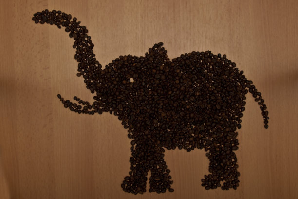 咖啡的大象图片下载