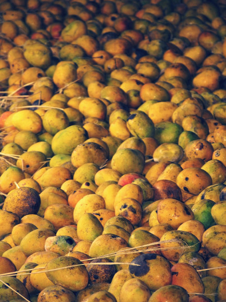 Mango-processing工厂图片下载