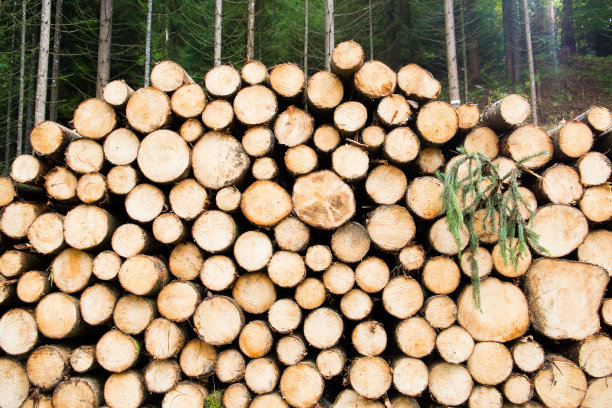 日志堆栈图片下载