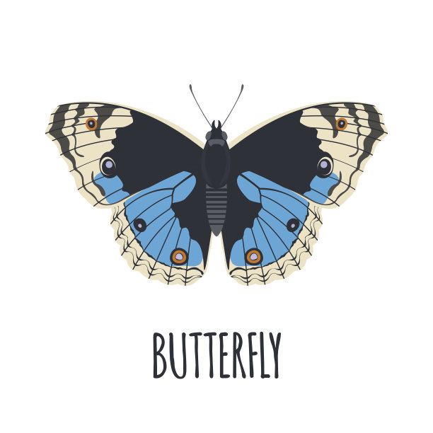 现实蝴蝶在平面风格。图片下载