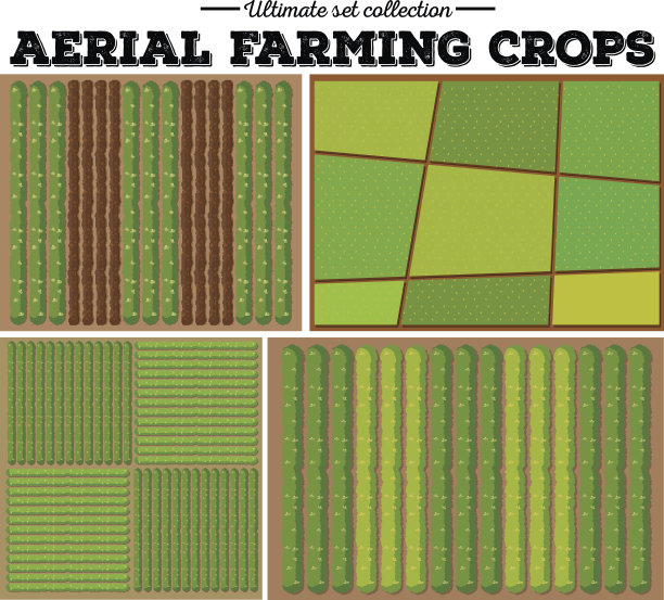 空中种植作物格局图片下载