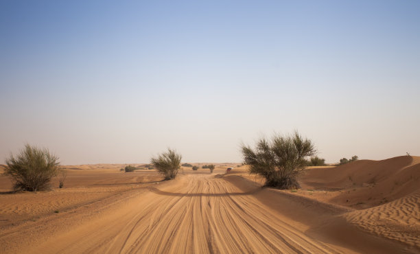沙漠沙路图片下载