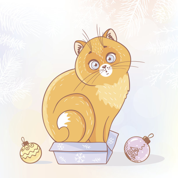 盒子里的猫图片下载