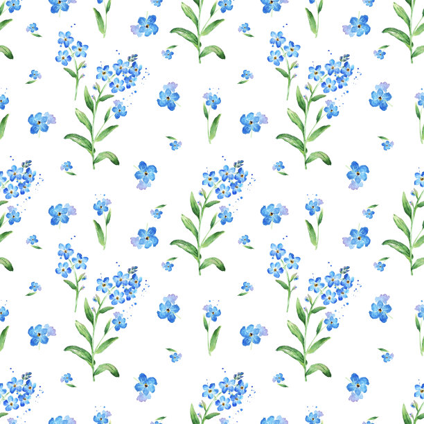 勿忘我。水彩野花无缝图案。手绘蓝花图片下载