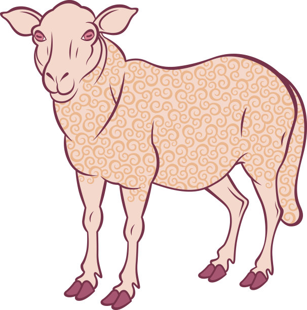 可爱的羊图片下载