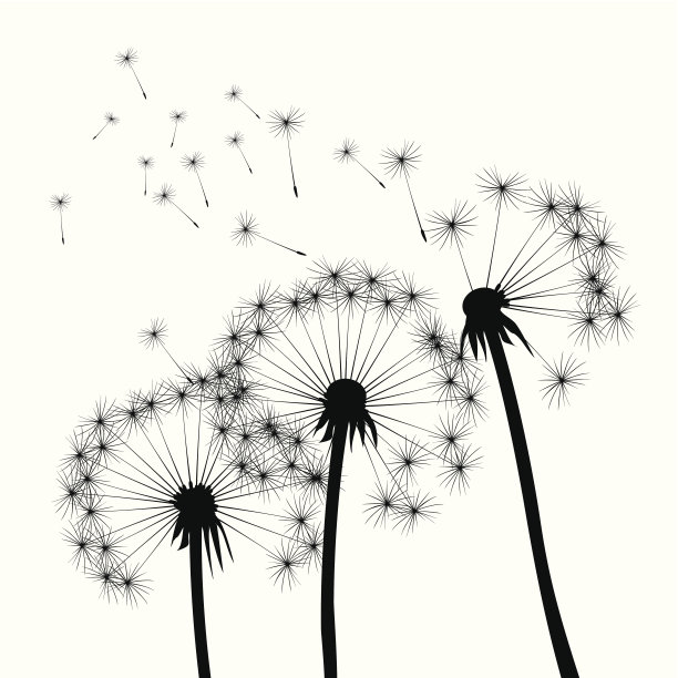 黑色向量蒲公英图片下载