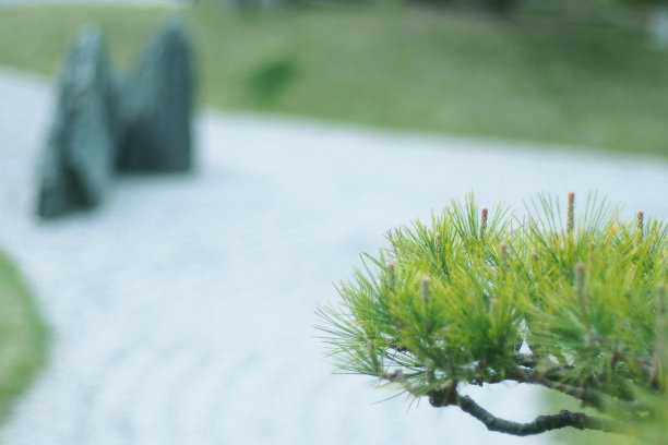 日本花园中的岩石图片下载