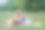 姐姐试着教她哥哥在公园里画画图片下载