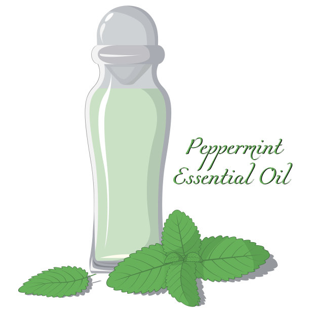 薄荷精油图片下载