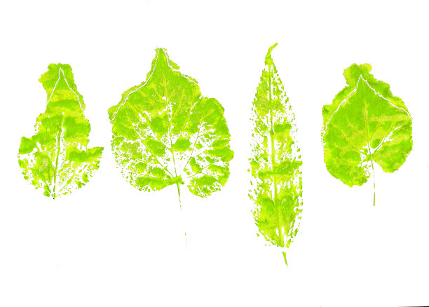 一套绿色盖章的叶子图片下载