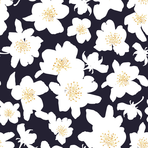 抽象无缝图案与孤立的手绘白花。樱花。图片下载