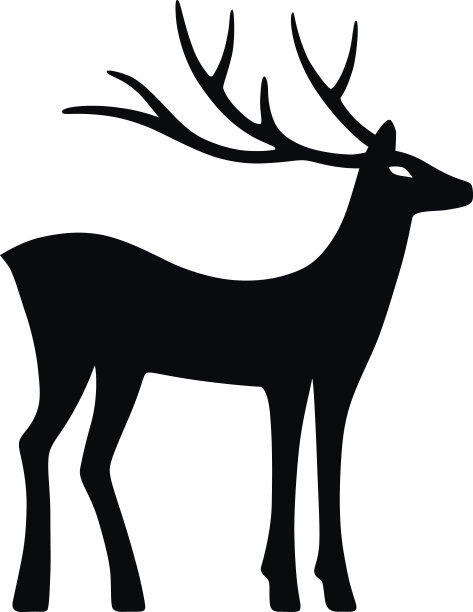 不可思议的鹿站图片下载