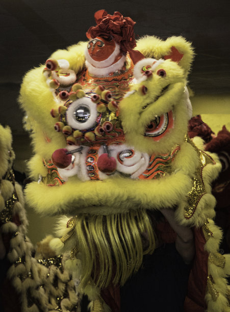 中国的狮子图片下载