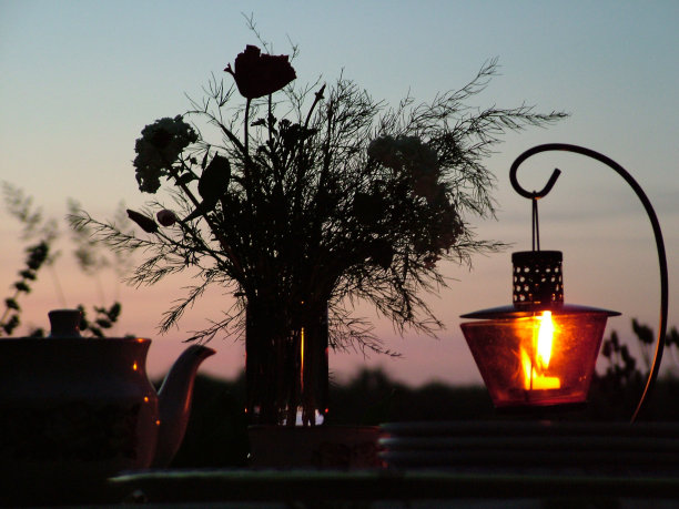 晚上户外茶-库存照片图片下载