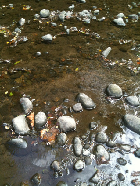 河流中岩石的聚集图片下载