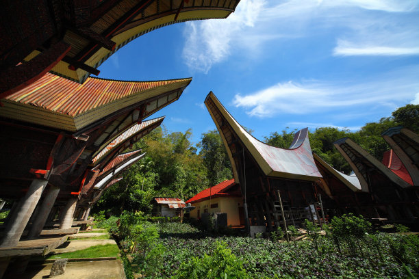 托拉雅图片下载