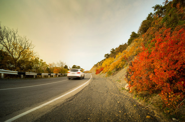 秋天路图片下载