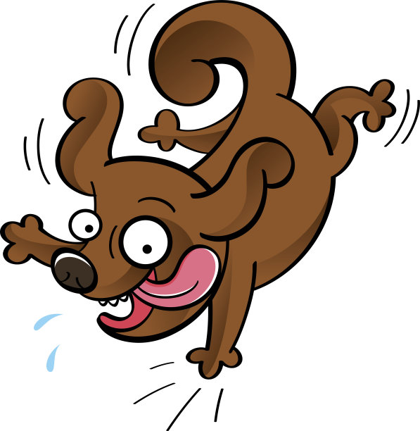 快乐的狗图片下载