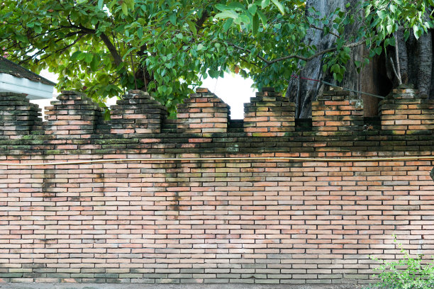 菩提树下砖墙图片下载